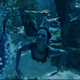 Avatar: The Way Of Water teaser trailer screenshot
